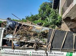 Reliable Rio Pinar, FL Junk Removal Solutions